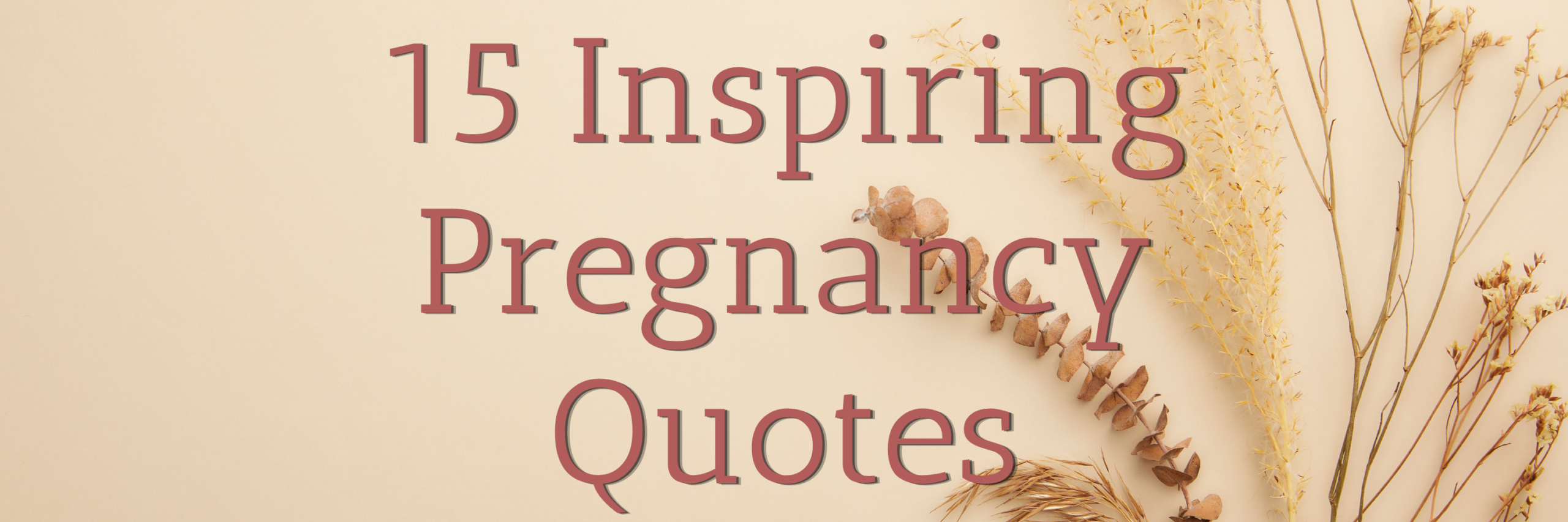 15 pregnancy quotes